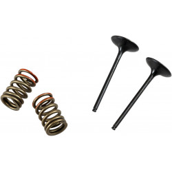 VALVE IN/SPRING KIT KX250F - 09261465 | Dr Rider
