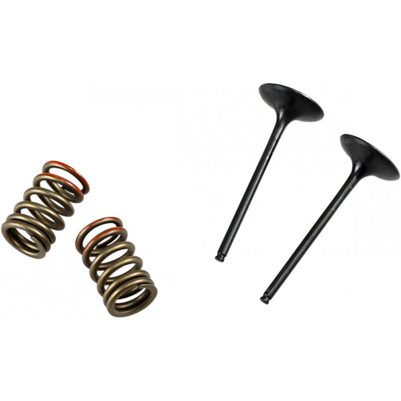 VALVE IN/SPRING KIT KX250F - 09261465 | Dr Rider