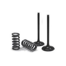 VALVE IN/SPRING KIT SX-F - 09262714 | Dr Rider