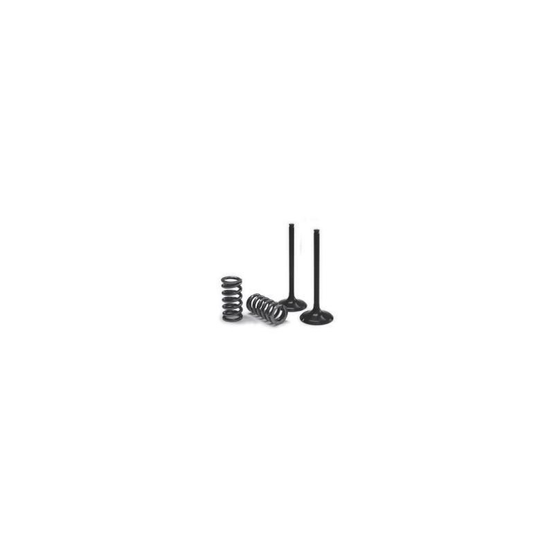 VALVE EX/SPRING KIT EXC-F - 09262717 | Dr Rider