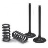 VALVE EX/SPRING KIT EXC-F - 09262717 | Dr Rider