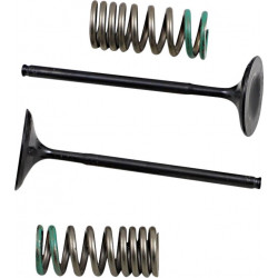 INTAKE VALVE/SPRING KIT - 09262892 | Dr Rider