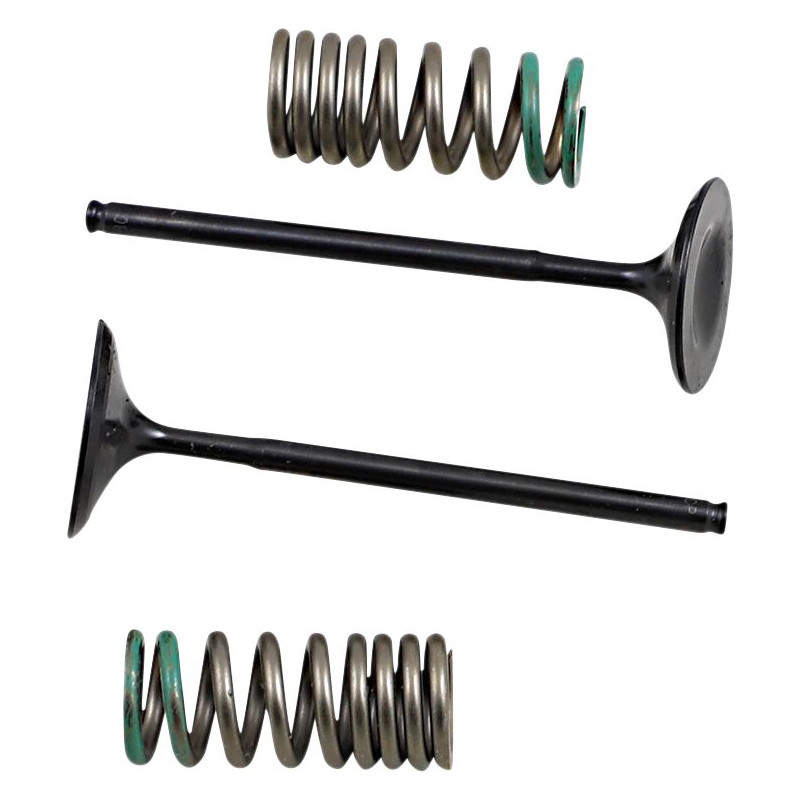 INTAKE VALVE/SPRING KIT - 09262892 | Dr Rider