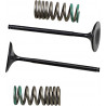 INTAKE VALVE/SPRING KIT - 09262892 | Dr Rider