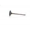 VAVLES EX TIT KT/HV 350 - 09263442