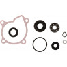 REPR KT WTRPMP 660 GRIZZ1 - 09347021 - Dr Rider