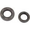 CRANKSEAL SET CR80/85 - 094181 | Dr Rider