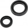 CRANKSEAL SET CR125 86-07 - 094184 | Dr Rider