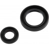 CRANKSEAL SET CR250 92-07 - 094187 | Dr Rider