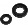 CRANKSEAL SET YZ250 01-26 - 094289 | Dr Rider