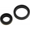 CRANKSEAL SET RM80/85/125 - 094398 | Dr Rider