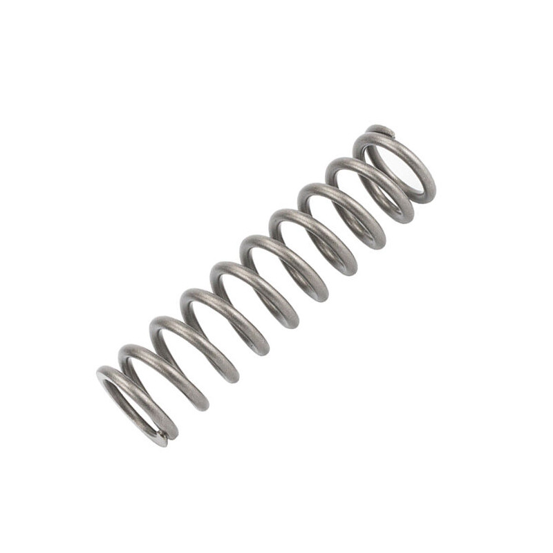 SPRING B L100mm K22 6N/mm - 04130215 | Dr Rider