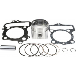PISTON KIT W/GASKETS - 09030174 - Dr Rider