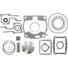 PISTON KIT W/GASKETS - 09030716 - Dr Rider