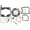 PISTON KIT W/GASKETS - 09030732 - Dr Rider