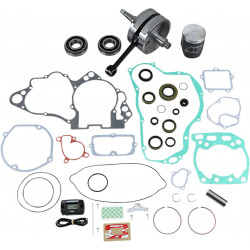 ENG KT WISECO RM250 05-10 - 09031545 - Dr Rider