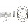 PISTON KIT CRF150R STD - 09100821 - Dr Rider