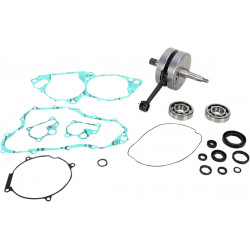 CRANK W/BRG + GASKET - 09210090 | Dr Rider