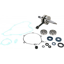 CRANK W/BRG + GASKET - 09210093 | Dr Rider