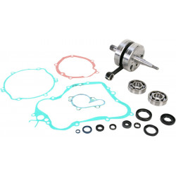 CRANK W/BRG + GASKET - 09210096 | Dr Rider
