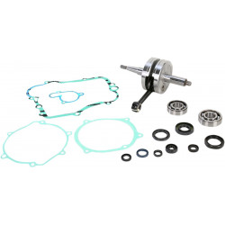 CRANK W/BRG + GASKET - 09210099 | Dr Rider