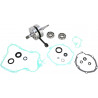 CRANK W/BRG + GASKET - 09210100 | Dr Rider