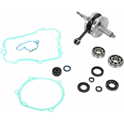 CRANK W/BRG GASKET - 09210101 | Dr Rider
