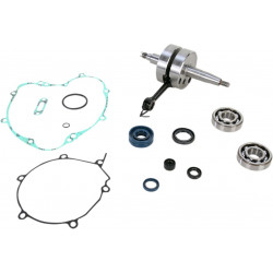CRANK W/BRG GASKET - 09210103 | Dr Rider