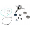 CRANK W/BRG GASKET - 09210103 | Dr Rider
