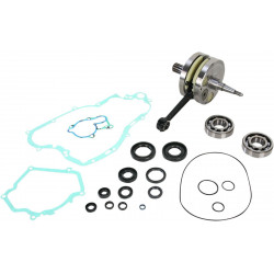 CRANK W/BRG GASKET - 09210104 | Dr Rider