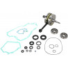 CRANK W/BRG GASKET - 09210104 | Dr Rider