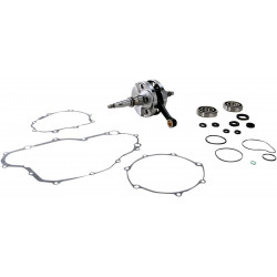 CRANK W/BRG GASKET - 09210111 | Dr Rider