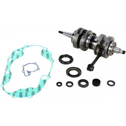 CRANK W/BRG + GASKET - 09210114 - Dr Rider