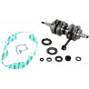 CRANK W/BRG + GASKET - 09210114 - Dr Rider