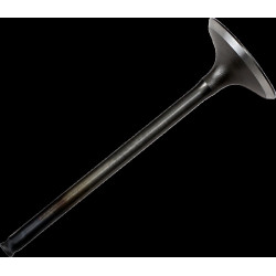 VALVE STEEL INT CRF150R - 09260694 - Dr Rider