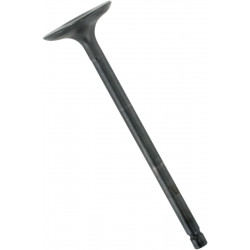 VALVE STEEL INT YAM - 09261748 - Dr Rider