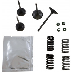 VALVE KT GB CRF450R 02-06 - 09263061 - Dr Rider