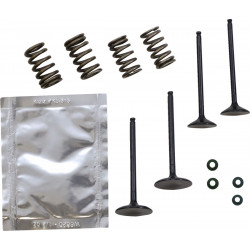 VALVE KT GB YZ250F 14-18 - 09263066 - Dr Rider