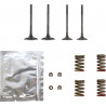 VALVE KT GB KX250F 11-16 - 09263078 - Dr Rider