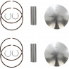 Kit piston forgé WÖSSNER Ø69.87 mm Ski-Doo/Lynx 494/MXZ500/Cobra 1996-2002 Surcote +0.50 mm - Dr Rider