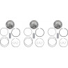 Kit piston forgé WÖSSNER Ø73.94 mm Ski-Doo ACE900 MXZ/Renegade/Expedition/Grand Touring 2014-2021 Cote A - Dr Rider
