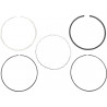 RING SET - 09120683 - Dr Rider