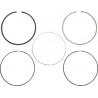 RING SET - 09120685 - Dr Rider
