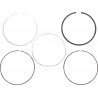 RING SET - 09120689 - Dr Rider