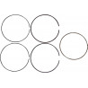 RING SET - 09120692 - Dr Rider