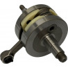 CRANKSHAFT SX125 01-15/TE125 1 - 09210880 | Dr Rider