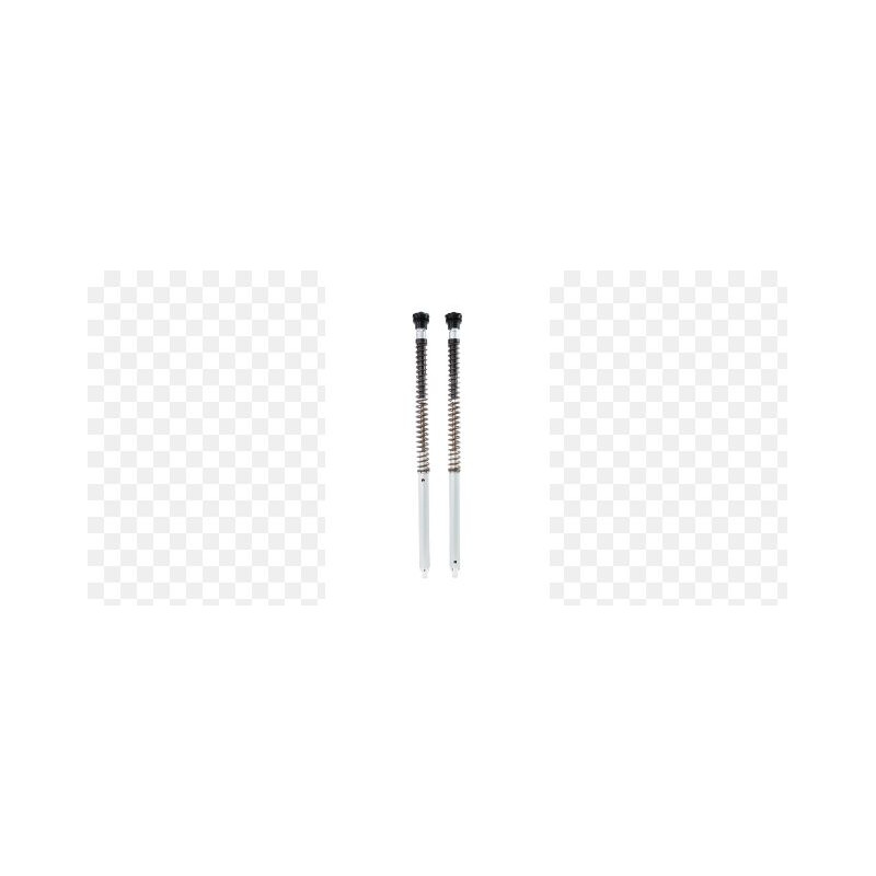 CARTRIDGE BMW R12 G/S (MARZOCC - 04130237 - Dr Rider