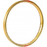 RIM 1.60X21 36H GOLD - RKICG408 | Dr Rider