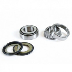 STEERING BEARING KIT KX80/85 8 - 13020888 | Dr Rider