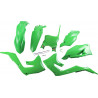 REP BODYKIT KAW OEM - 14033241 | Dr Rider